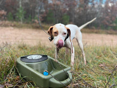 Dakota Dine N Dash – Feeding and Watering System-Dakota