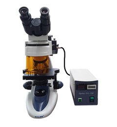 VE-146YT Trinocular Fluorescence Microscope