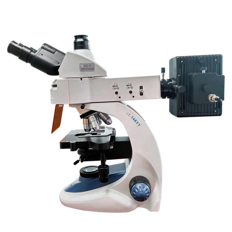 VE-146YT Trinocular Fluorescence Microscope