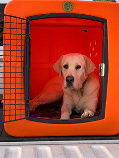 Dakota G3 Large Framed Kennel-Dakota