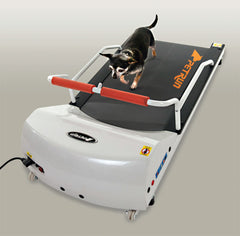 GoPet PR700 – Toy Breed TreadMill-GoPet