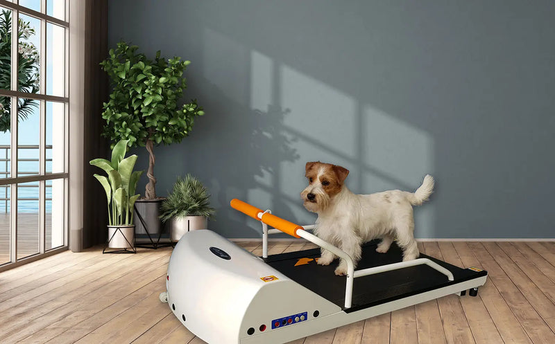 GoPet PR700 – Toy Breed TreadMill-GoPet