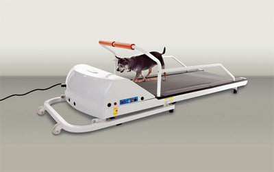 GoPet PR710F – Toy-Small Breed TreadMill-GoPet