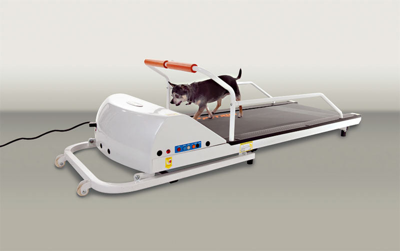 GoPet PR710F – Toy-Small Breed TreadMill-GoPet