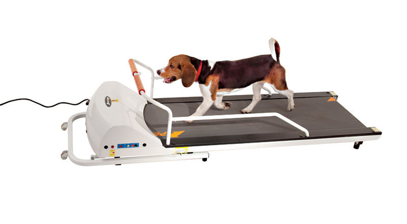 GoPet PR720F – Small-Medium Breed TreadMill-GoPet