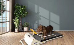 GoPet PR720F – Small-Medium Breed TreadMill-GoPet