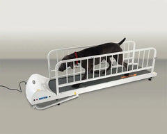 GoPet PR725 – Large Breed TreadMill-GoPet