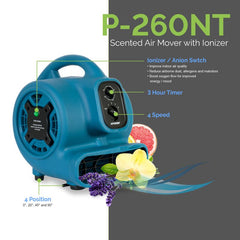 XPOWER CleanGroom™ Carbon-Free Solution – Deluxe - XCG3