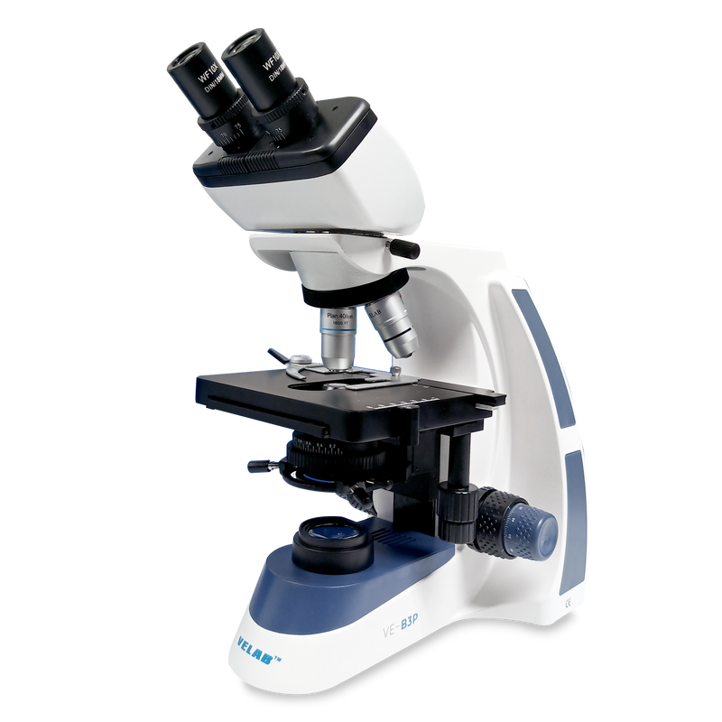 VE-B3P Binocular Microscope