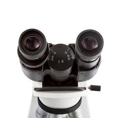 VE-B4 Binocular Microscope