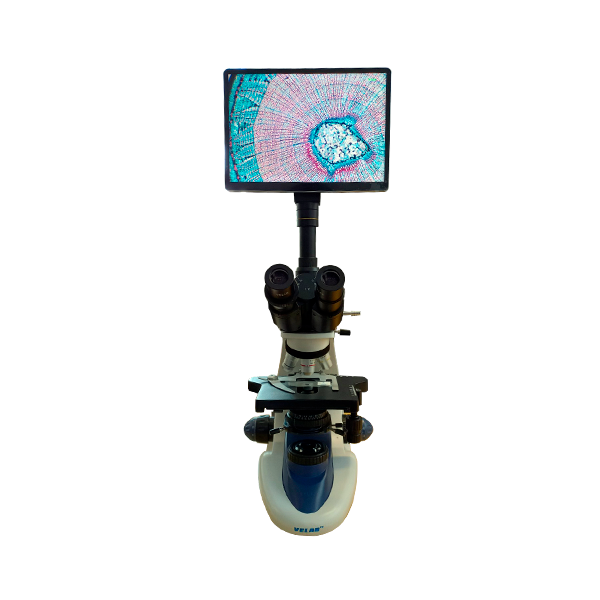 Trinocular Microscope with integrate tablet. VE-B6 PAD
