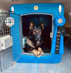 Dakota G3 X-Large Framed Kennel-Dakota