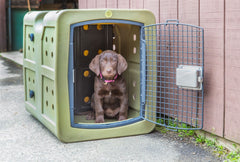 Dakota Forever Insert Medium Kennel Divider for Puppies-Dakota