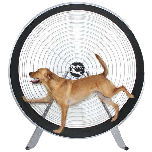 GoPet CS7620 PetRun 36 Inch Large Breed up to 150 pounds Extra Large Dog Treadmill New