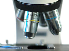 VE-B10 Binocular Microscope